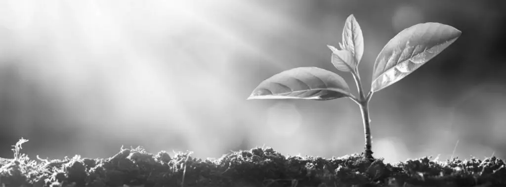 Uncharted Leadership Path